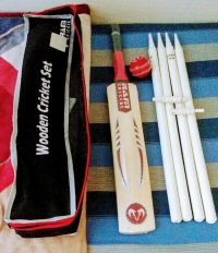 Cricket bat